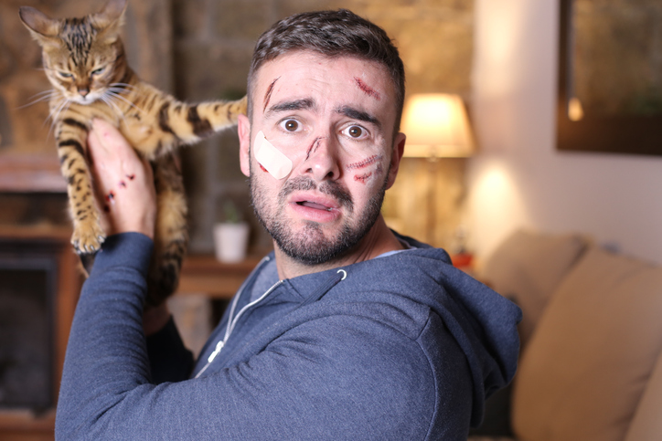 man pretends to be attacked by a cat