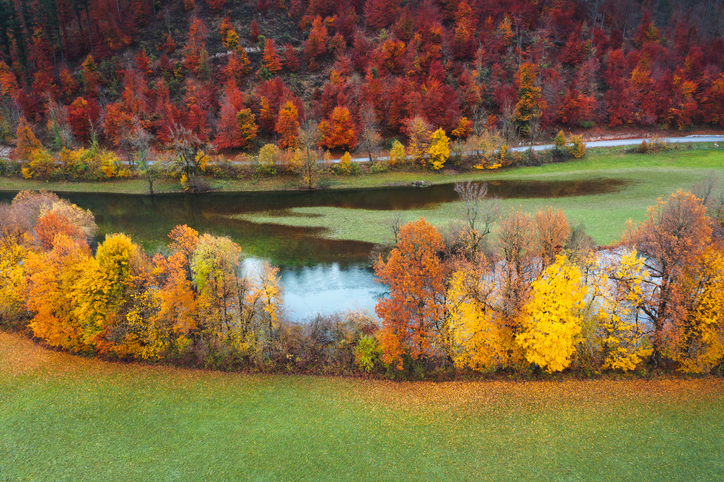 a flooded field with fall foliage colors on the trees